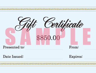 Artmake Yumi Gift Certificate $850